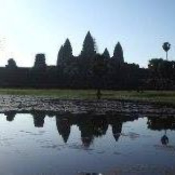 Meet your Posher, Pippa - Picture 1 of 1